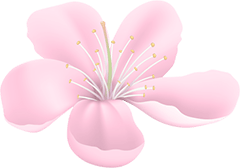 Best Place for Haircut in Chennai