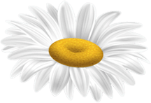 Best Salon for Men's Haircut in Chennai